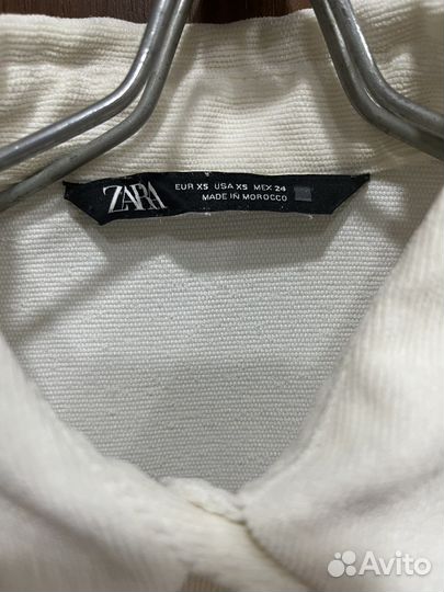 Вельветовая рубашка zara