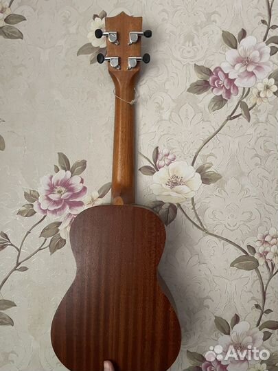 Укулеле концерт