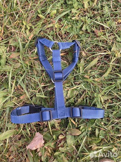 Шлейка для собак