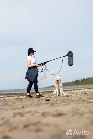 Видео, монтаж, звук, графика