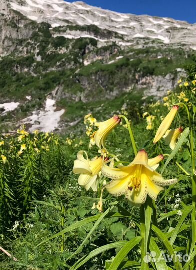 Поход через горы к морю. Легендарная тридцатка