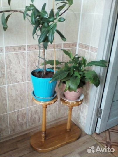 Подставка для цветов напольная деревянная