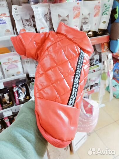 Одежда для собак