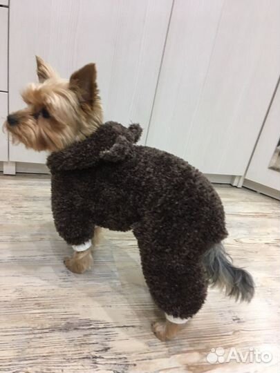 Комбинезон для маленькой собаки