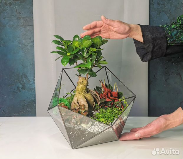 Флорариум в икосаэдре L (арт. 6954)