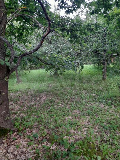 Дача 20 м² на участке 14 сот.