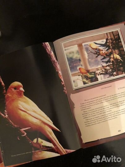 Альбом по искусству. Глинка