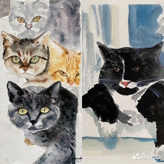 Картина, Кот в окне, Коты за углом. Акварель