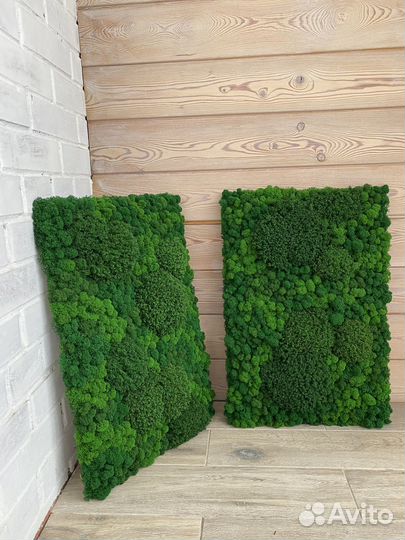 Панели из стабилизированного мха