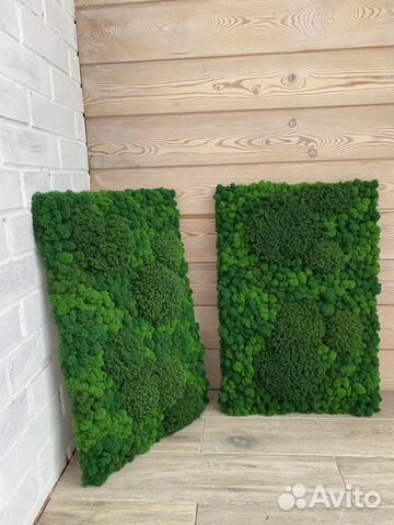 Панели из стабилизированного мха