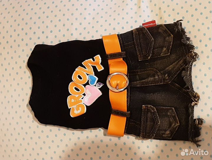 Одежда для собак той терьер