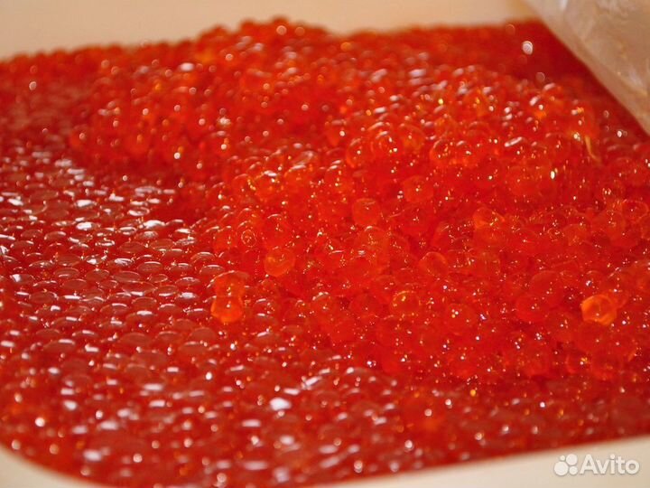 Икра нерки 2023