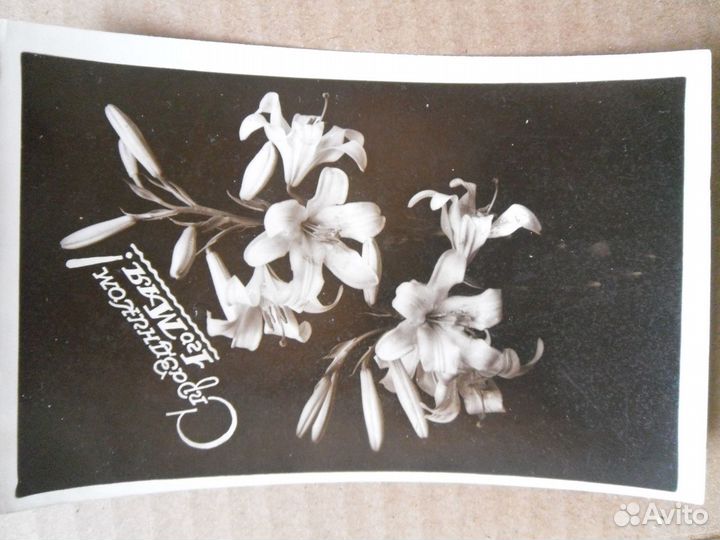 Фотооткрытка. Лилии. С Праздником 1 Мая