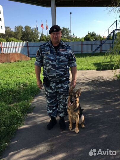 Охранник, кинолог