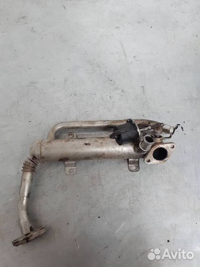 Радиатор EGR Volkswagen Golf Plus 2008 03G131512