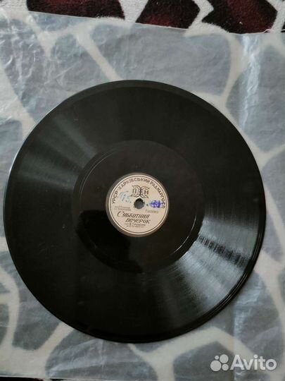 Высоцкий, Трошин