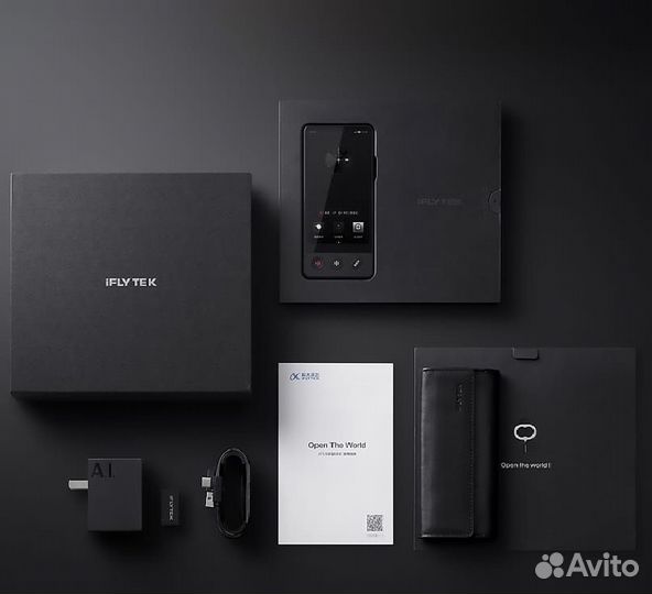 Электронный переводчик iFlytek Dual Screen