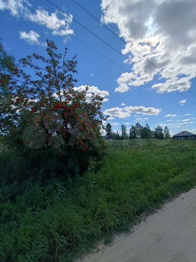 Участок 31 сот. (ИЖС)