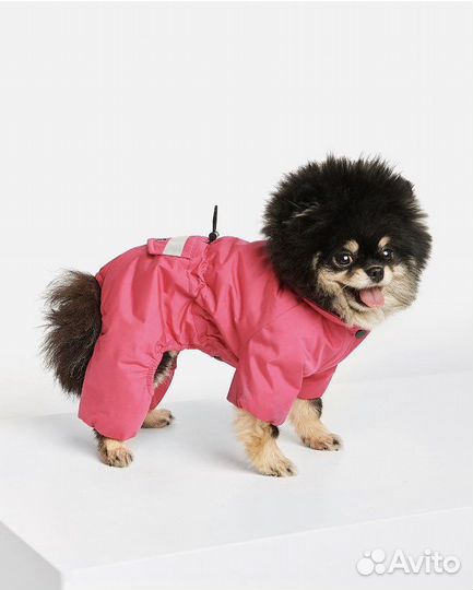 Зимний комбинезон для собаки