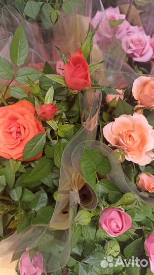 Клубника свежая