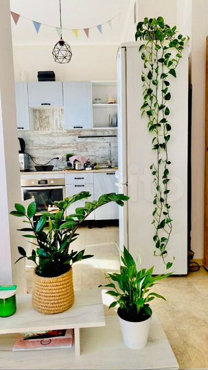 1-к. квартира, 33 м², 15/17 эт.