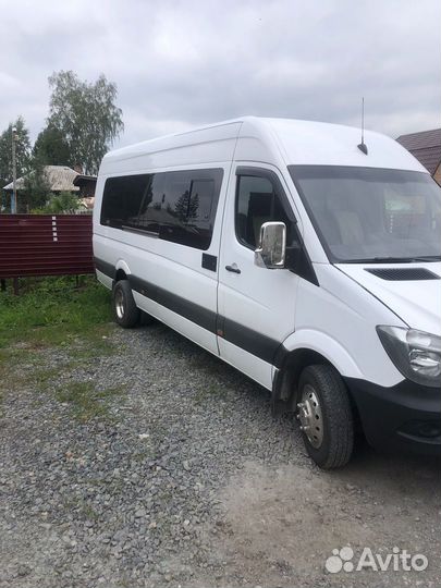 Перевозка пассажиров