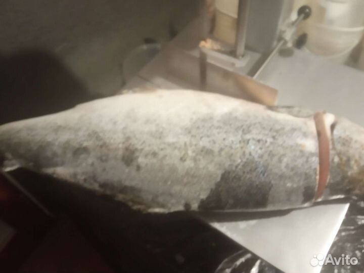 Рыба под заказ