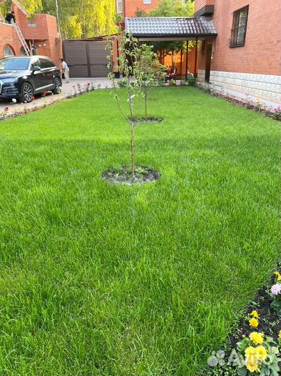 Укладка рулонных газонов под ключ