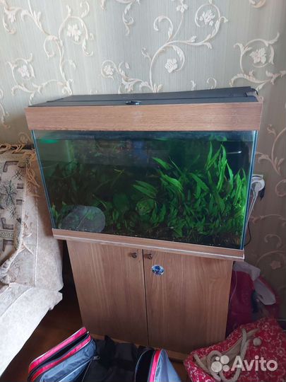 Аквариум с тумбой 140л