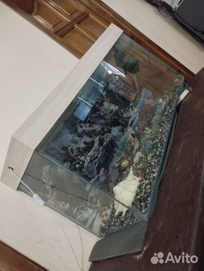 Аквариумные рыбки