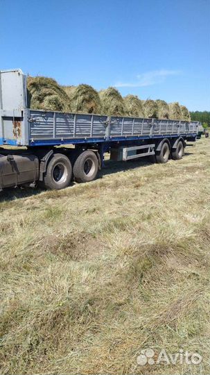 Аренда. Полуприцеп тягач.длинамер