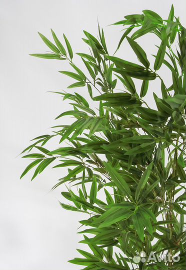 Бамбук искусственный