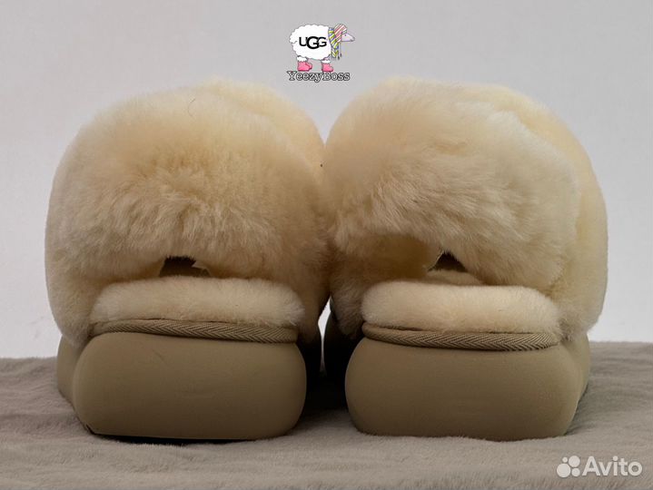 Угги тапочки женские Ugg Slippers Disquette