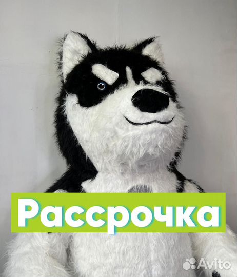 Надувной костюм собака Хаски ростовая кукла