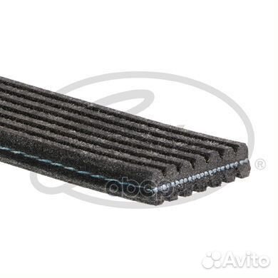 Ремень поликлиновый audiq73,608-06-05/10,porsch