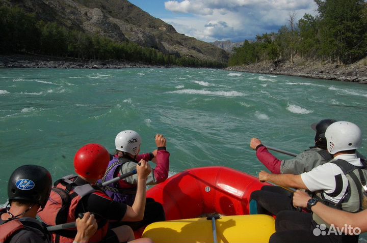 Тур на Алтай/Горный Алтай