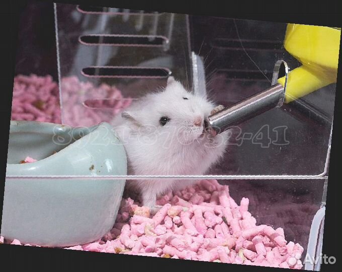 Клетка для хомяка 1 этаж