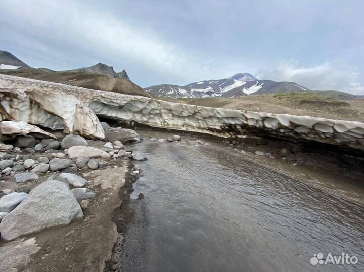 Тур на Камчатку 2024. Авачинский перевал, Верблюд
