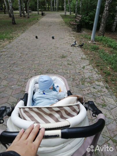 Коляска 2 в 1 Adamex Enduro