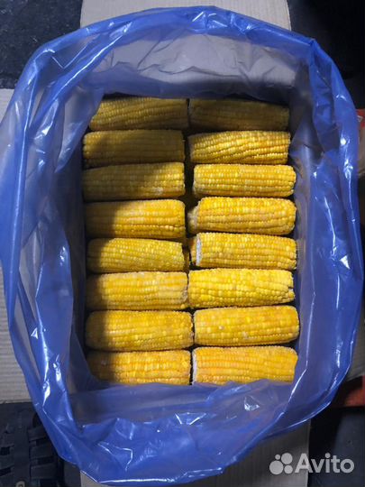 Кукуруза оптом