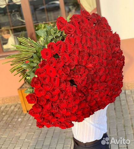 Высокие розы