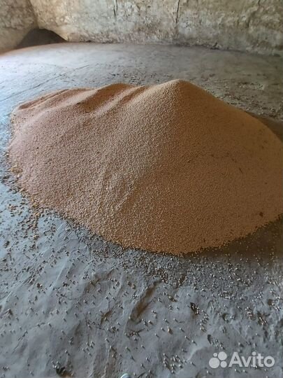 Горох кормовой