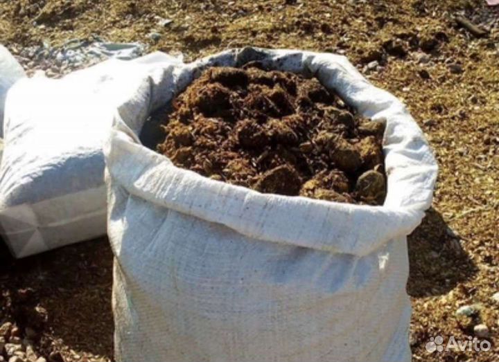 Коровий навоз