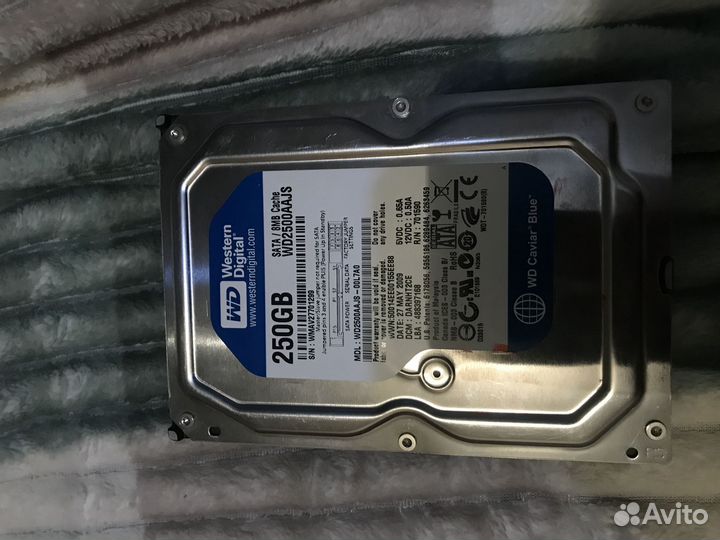 Жесткий диск wd 250 gb