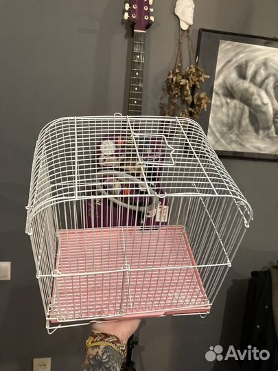 Клетка для птиц