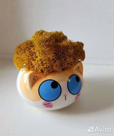 Горшочки (кашпо) со мхом или растениями