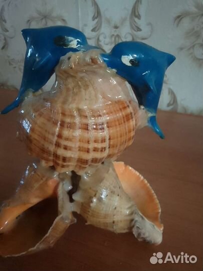 Сувениры из морских ракушек