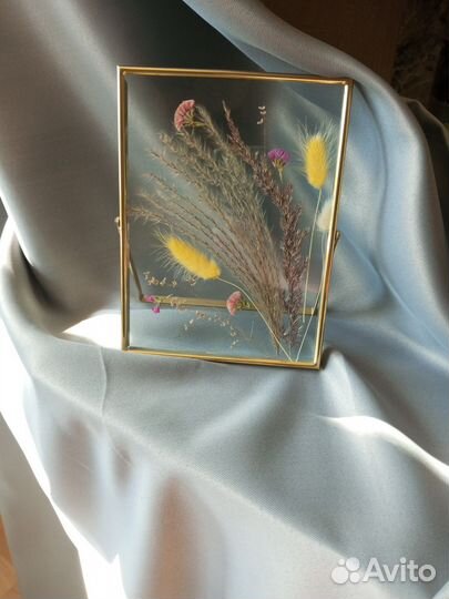 Гербарий в стекле в рамке