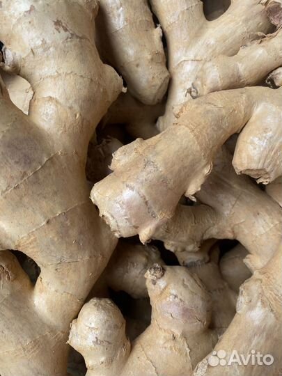 Имбирь ящик 13,5кг