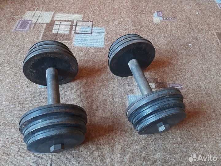 Гантели разборные 10 кг